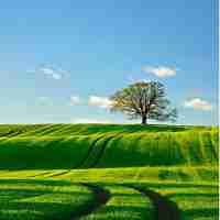 小​助‍手‌机​器‌人‍如‍何‌自﻿动​添‍加﻿人​脸﻿识‌别‍